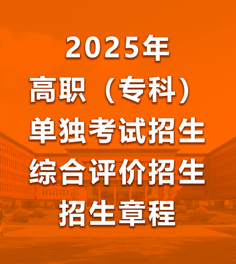 2025年單獨考試招生和綜合評價招生章程